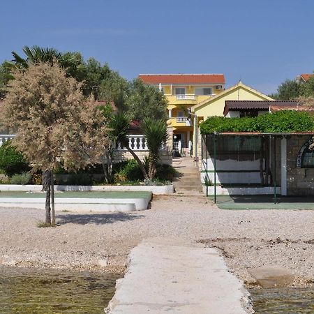 ביוגראד נה מורו Apartments Dandelion מראה חיצוני תמונה
