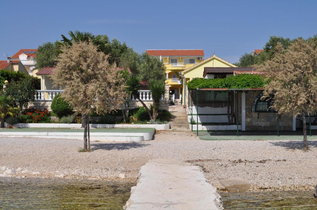 ביוגראד נה מורו Apartments Dandelion מראה חיצוני תמונה