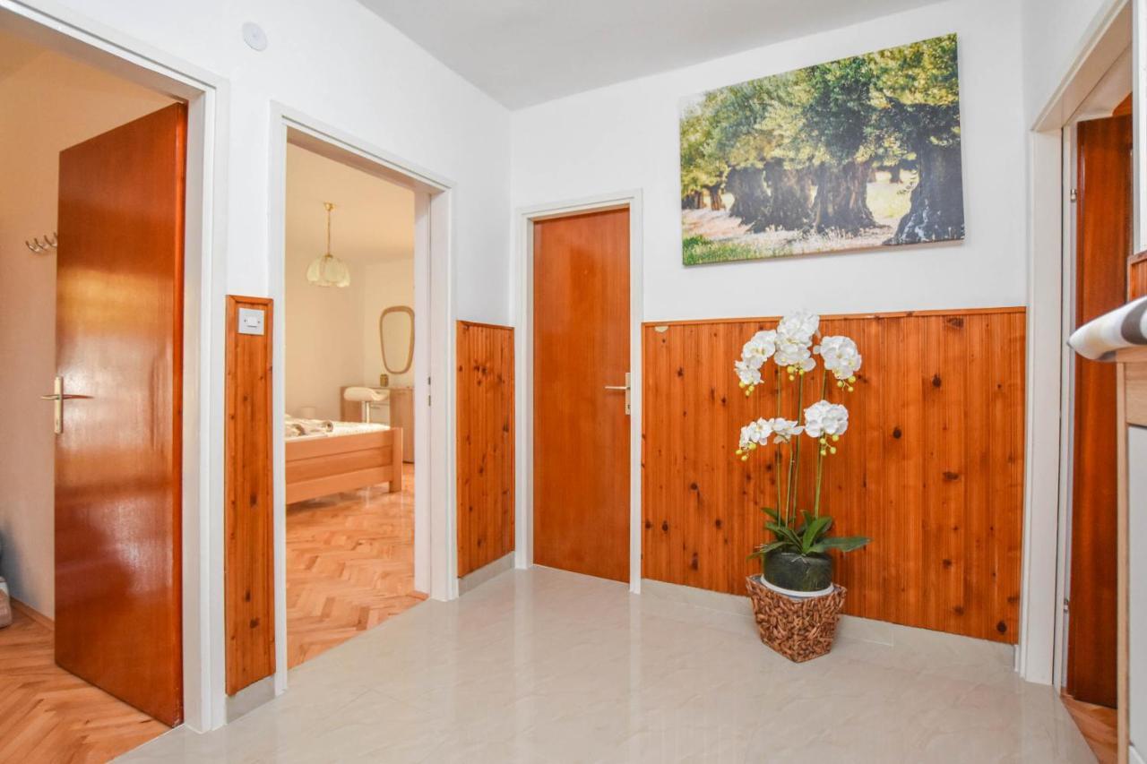 ביוגראד נה מורו Apartments Dandelion מראה חיצוני תמונה