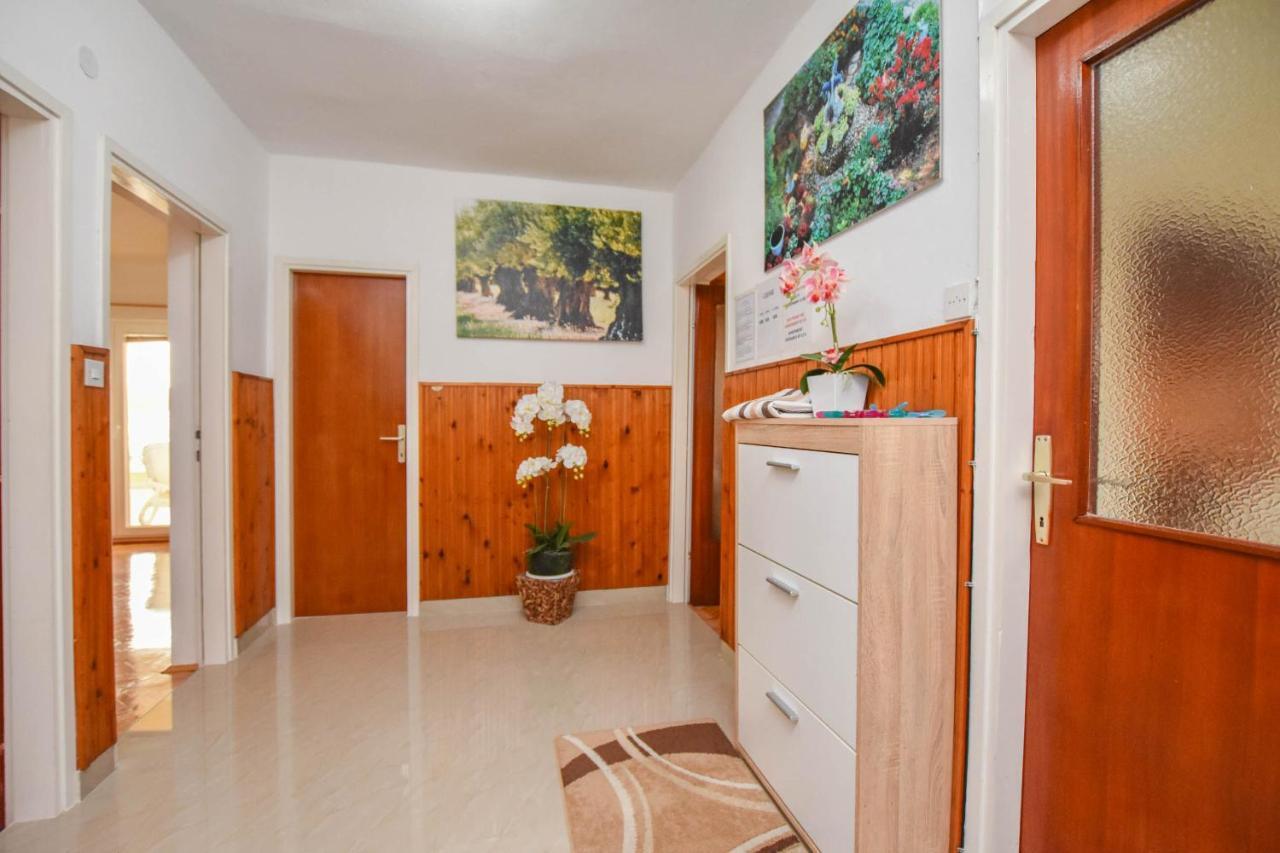 ביוגראד נה מורו Apartments Dandelion מראה חיצוני תמונה