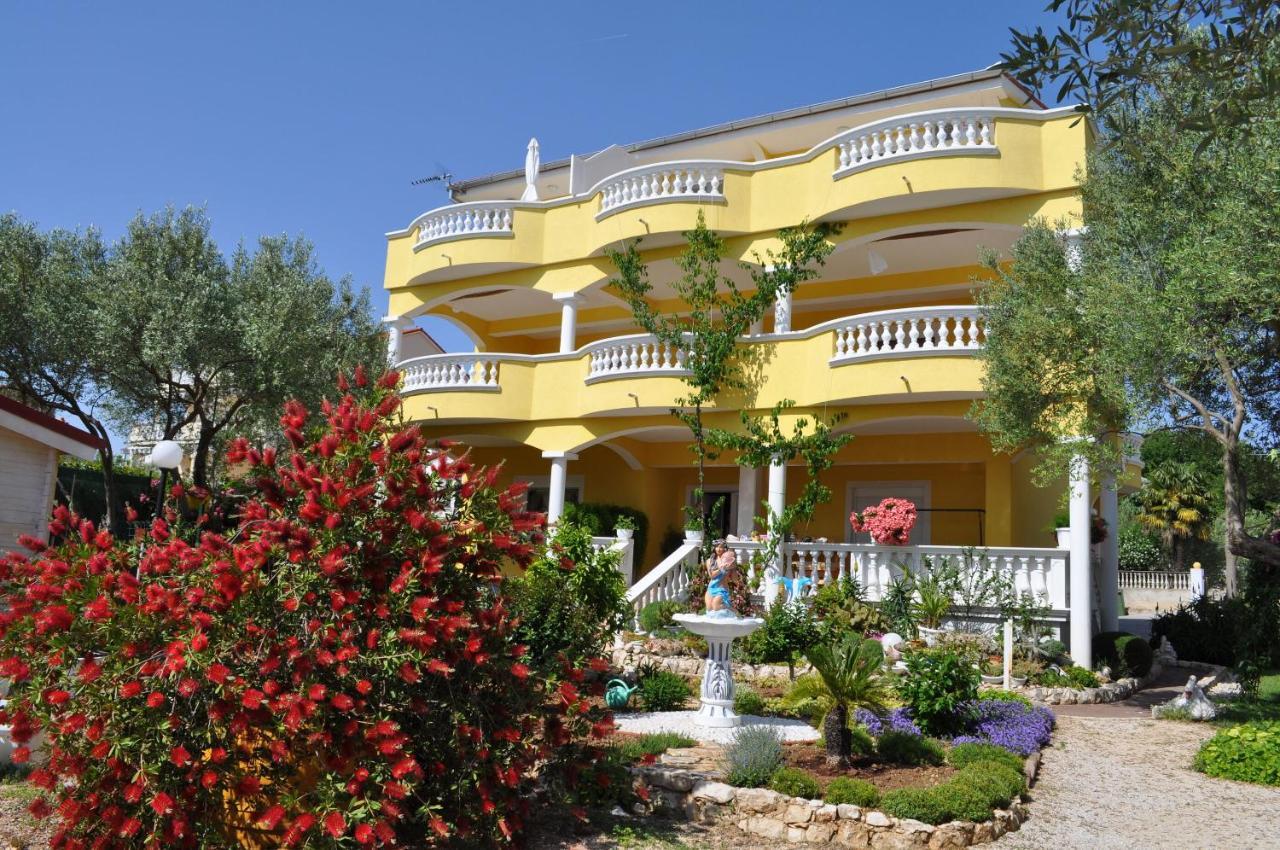 ביוגראד נה מורו Apartments Dandelion מראה חיצוני תמונה